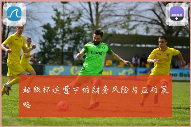 超级杯运营中的财务风险与应对策略