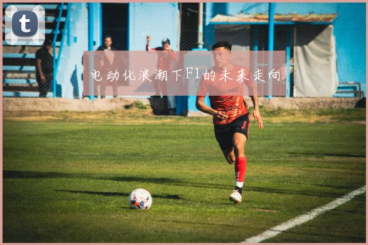 电动化浪潮下F1的未来走向