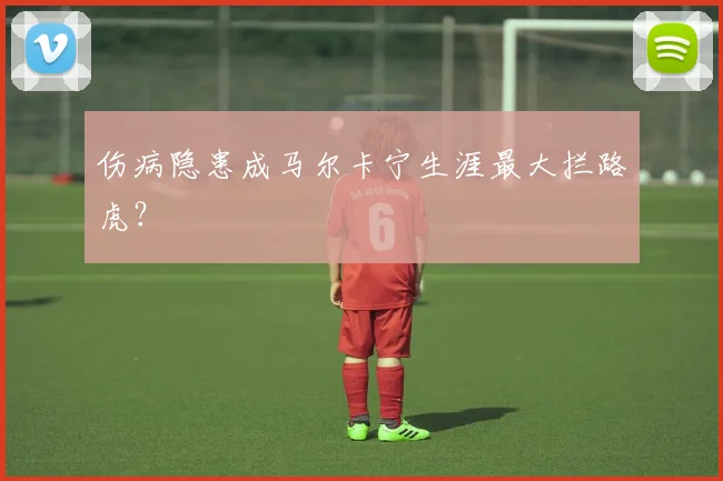 伤病隐患成马尔卡宁生涯最大拦路虎？